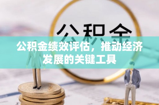 红原公积金绩效评估，推动经济发展的关键工具